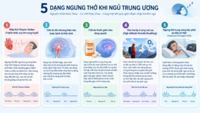 Phân biệt các loại ngưng thở khi ngủ trung ương