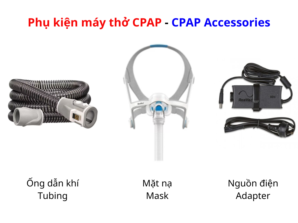 Nội dung đoạn văn bản của bạn