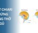 Mối quan hệ giữa dị tật Chiari và chứng ngưng thở khi ngủ